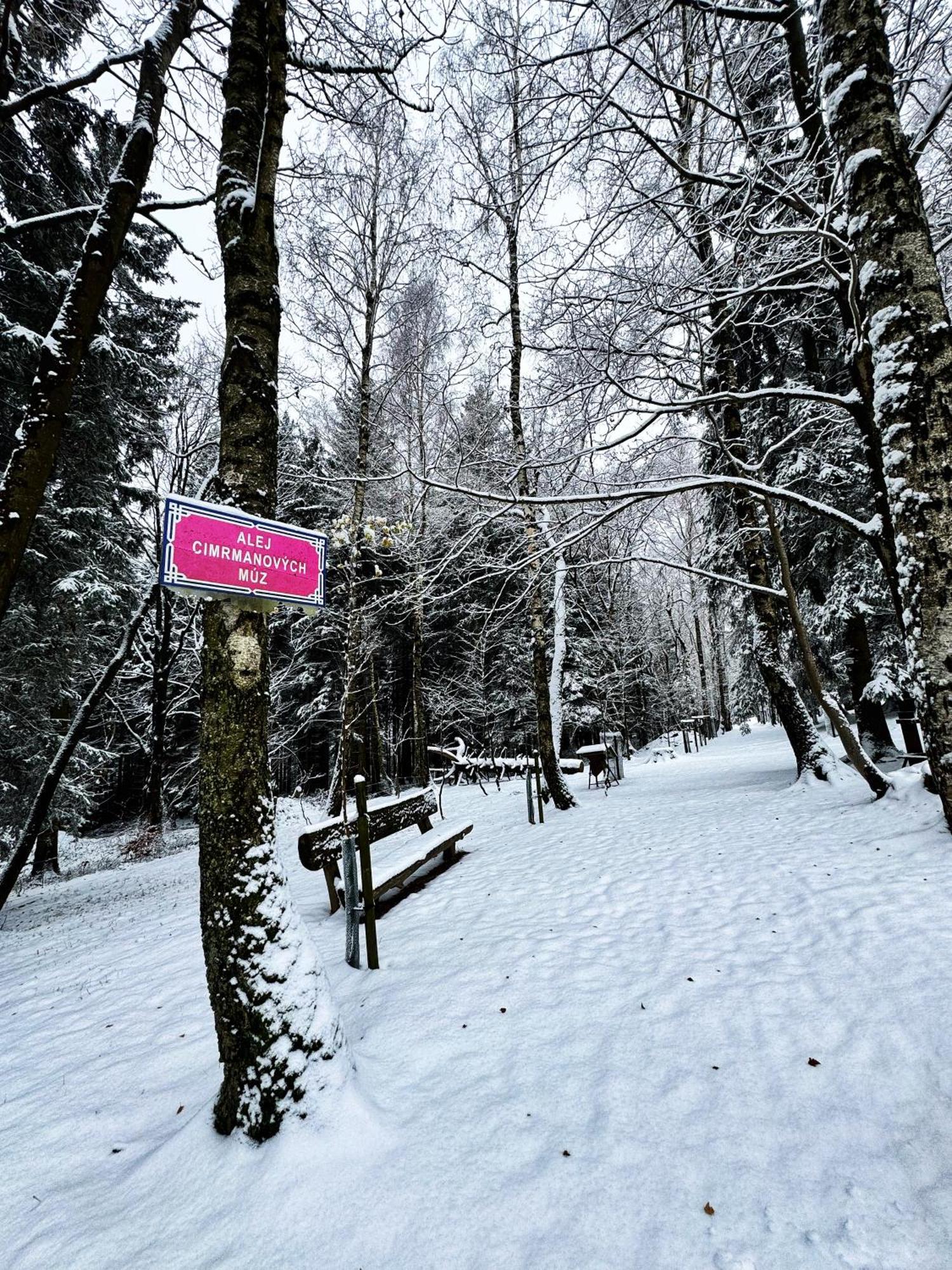 Apartman Vista Rokytnice Rokytnice nad Jizerou Exteriör bild